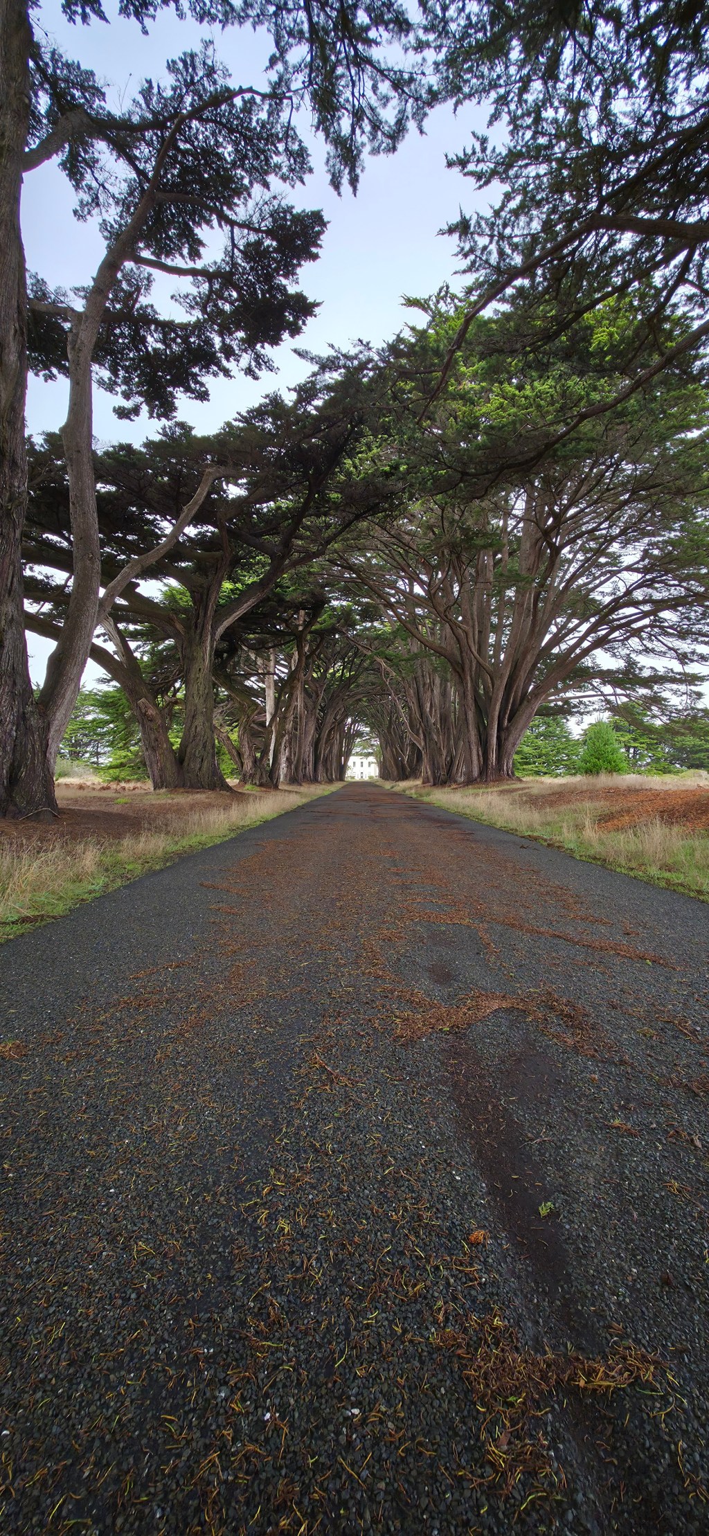 Van Life Day&nbsp;18