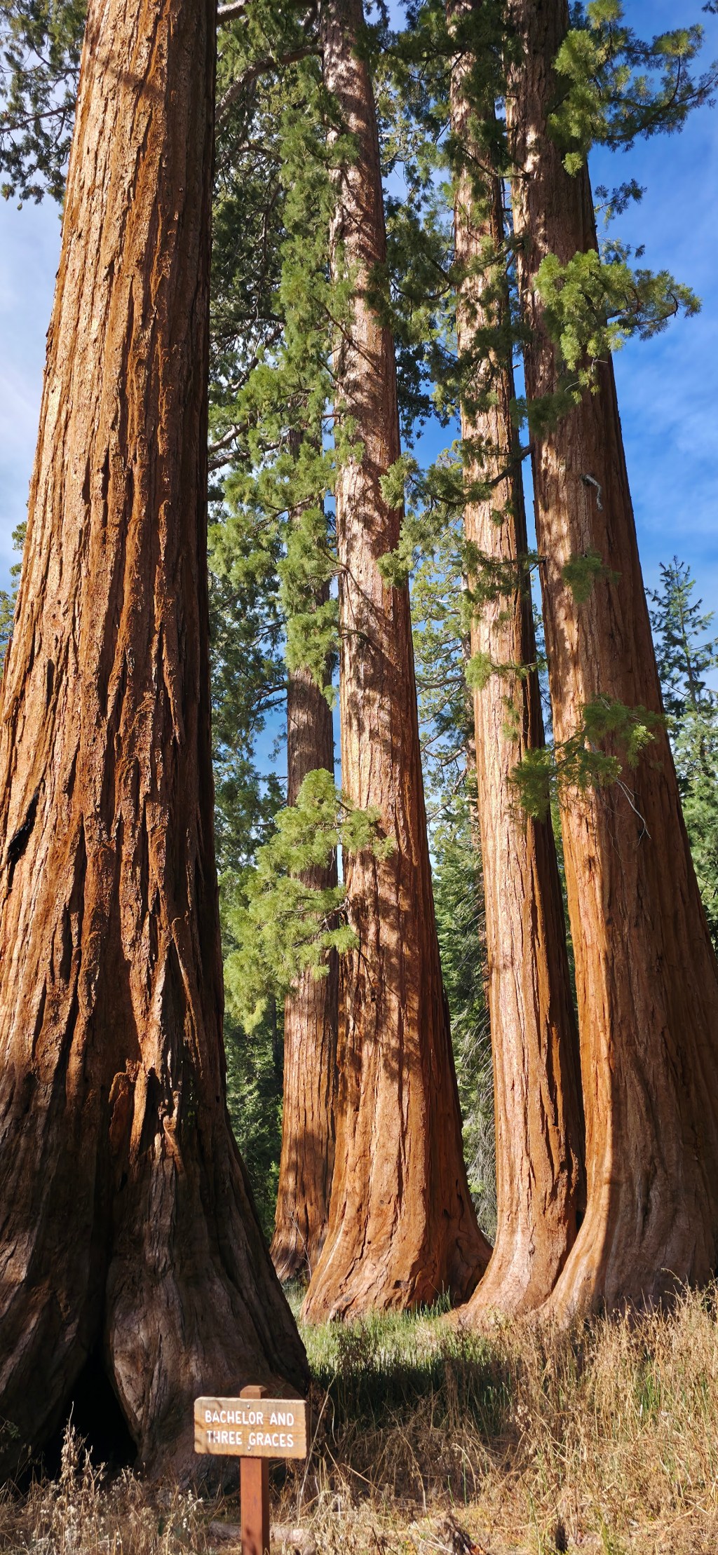 Van life Day&nbsp;22