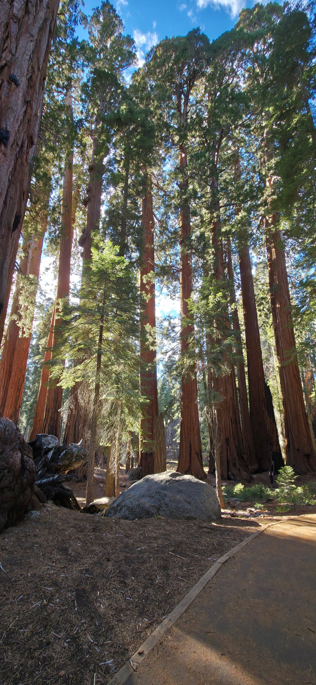 Van Life Day&nbsp;24