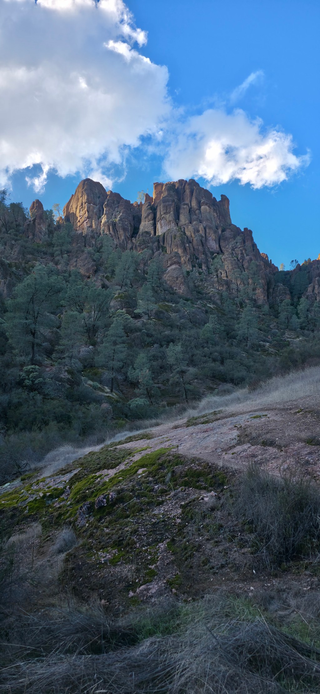 Van Life Day&nbsp;25