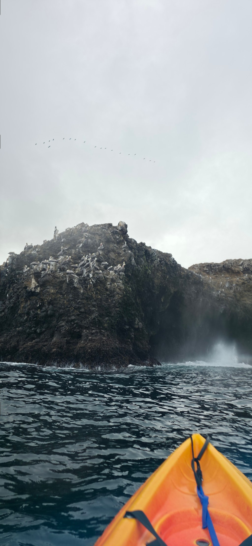 Van Life Day&nbsp;27