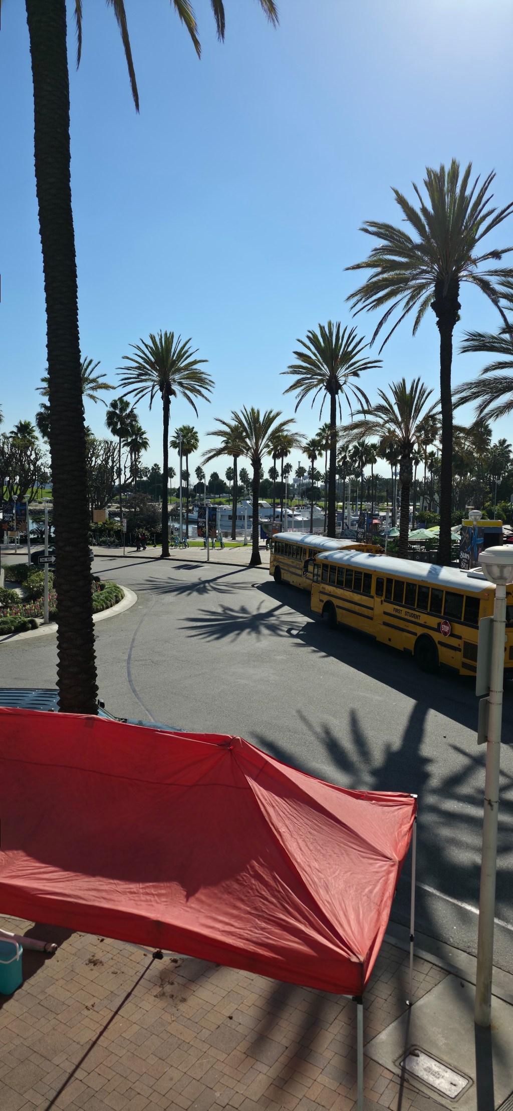 Van Life Day&nbsp;30