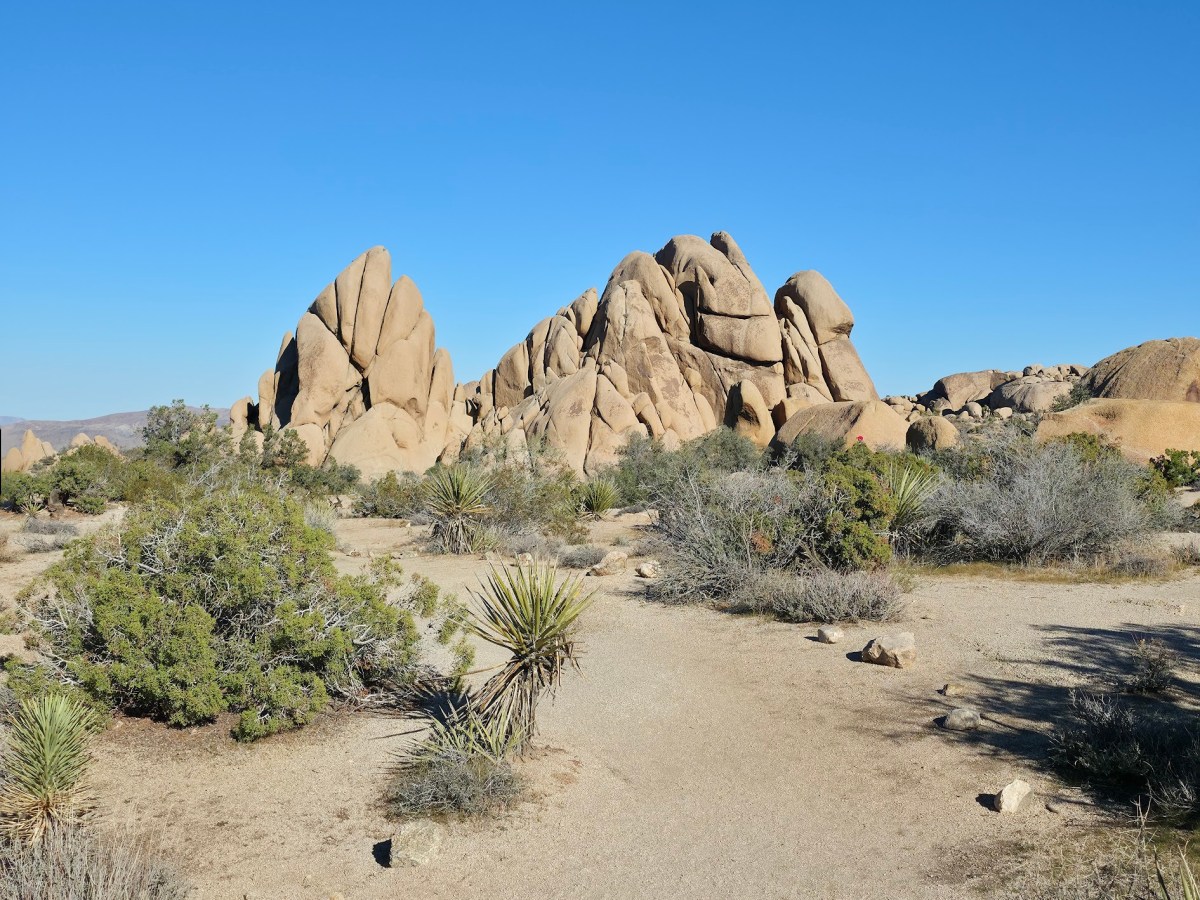 Van Life Day&nbsp;34