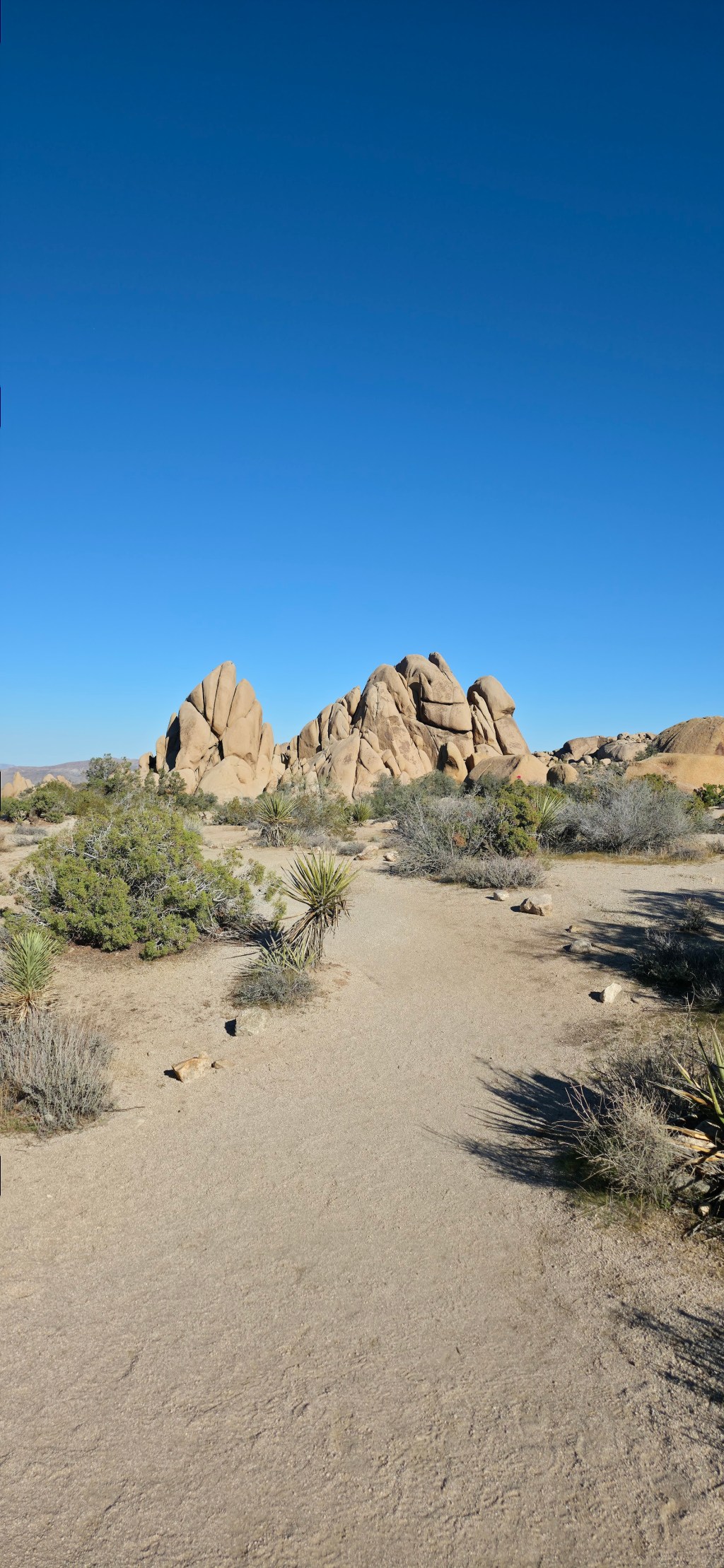 Van Life Day&nbsp;34