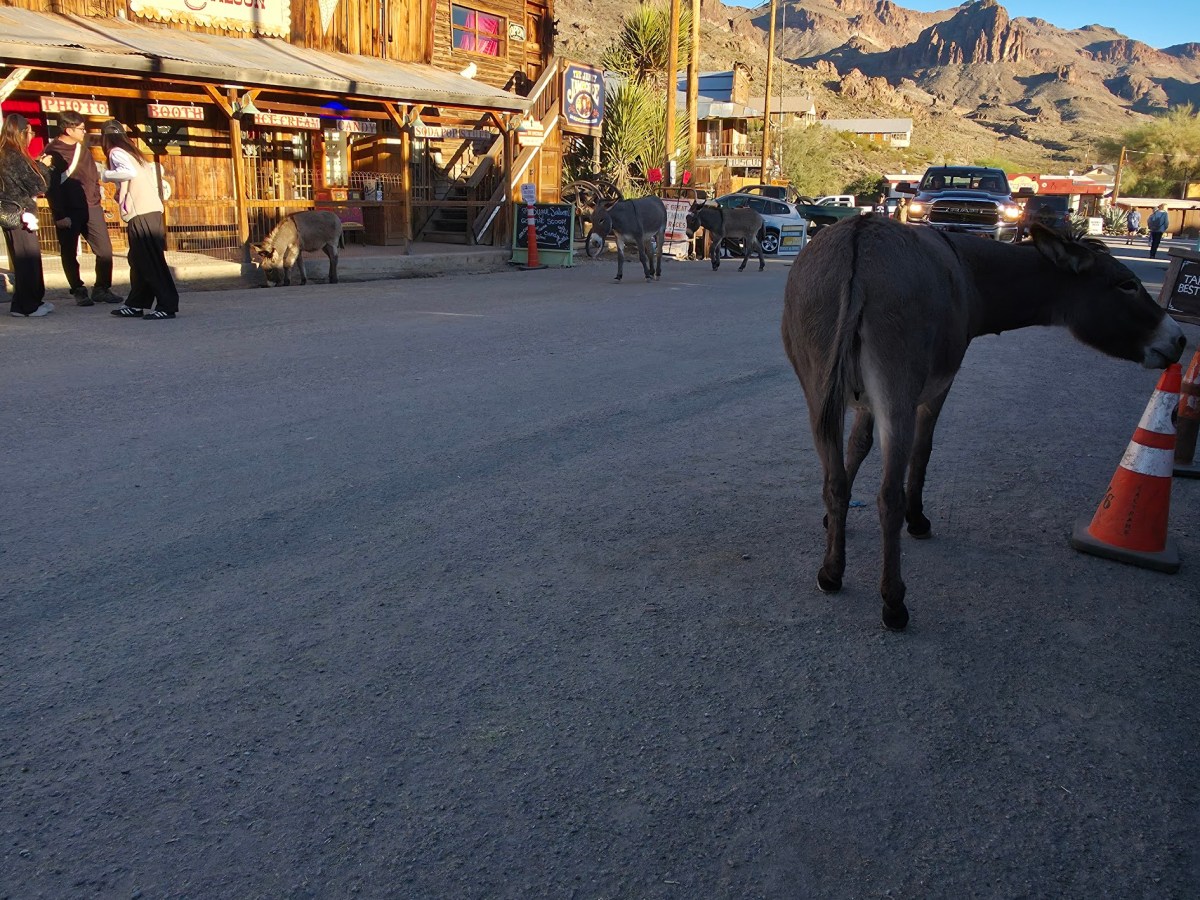 Van Life Day 36 &&nbsp;37