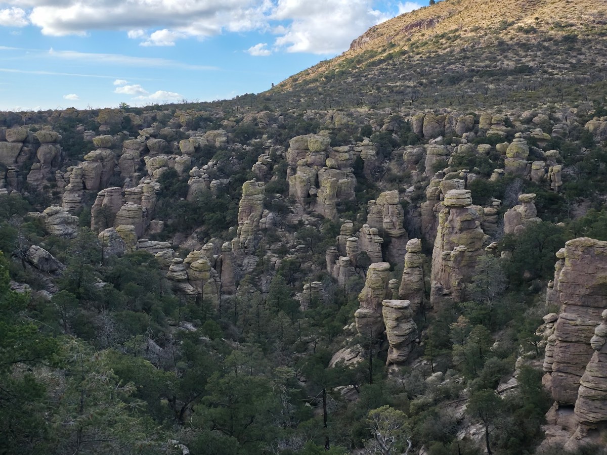 Van Life Day&nbsp;45