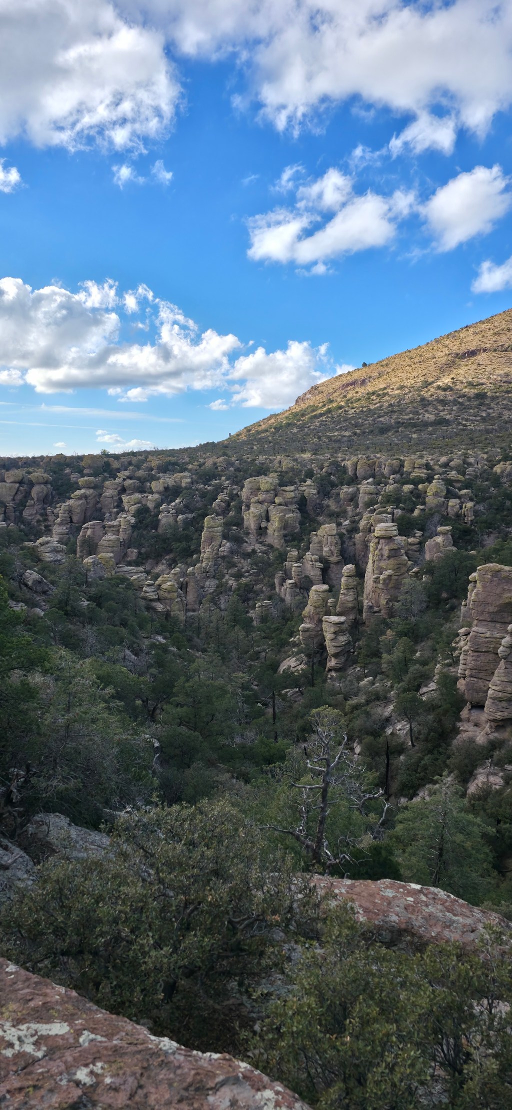 Van Life Day&nbsp;45