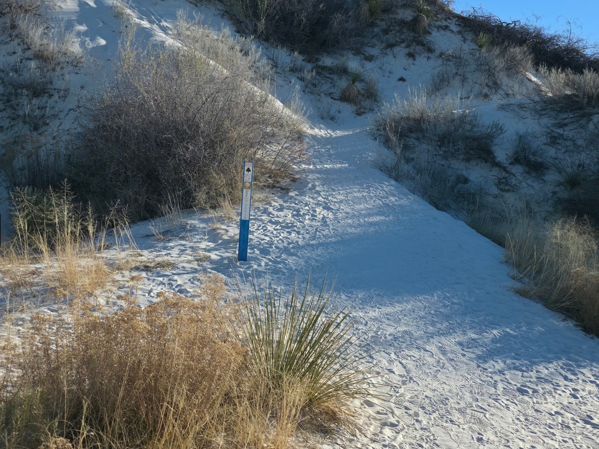 Van Life Day&nbsp;48