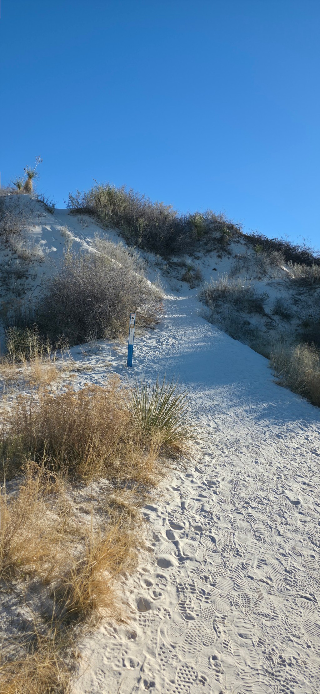 Van Life Day&nbsp;48