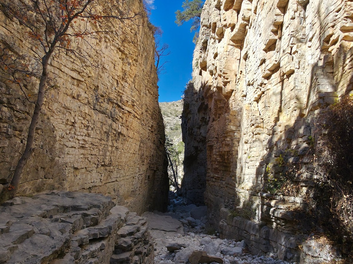 Van Life Day&nbsp;51