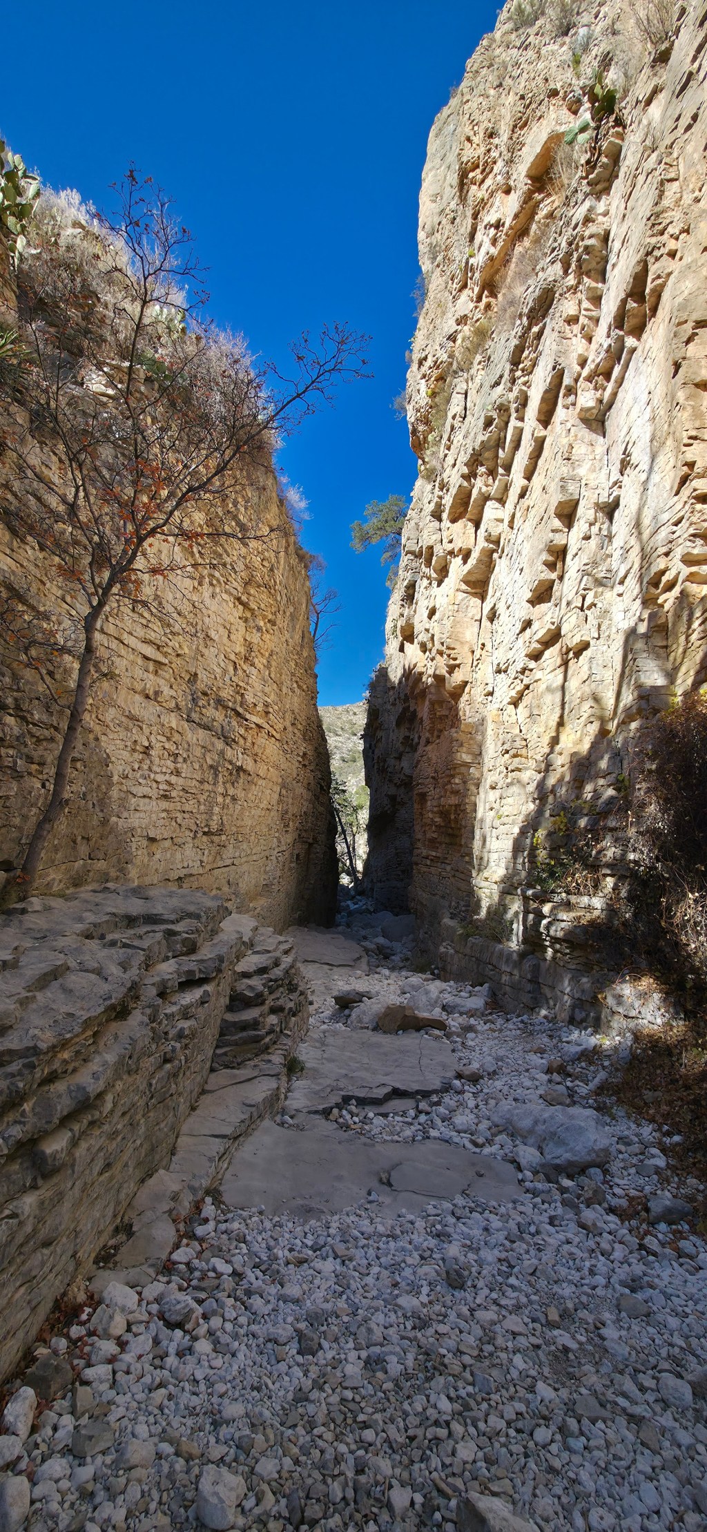 Van Life Day&nbsp;51