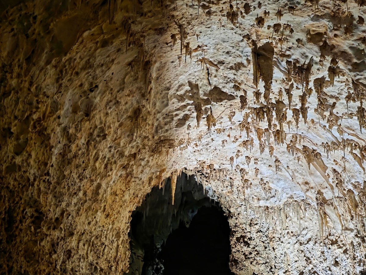 Van Life Day&nbsp;52