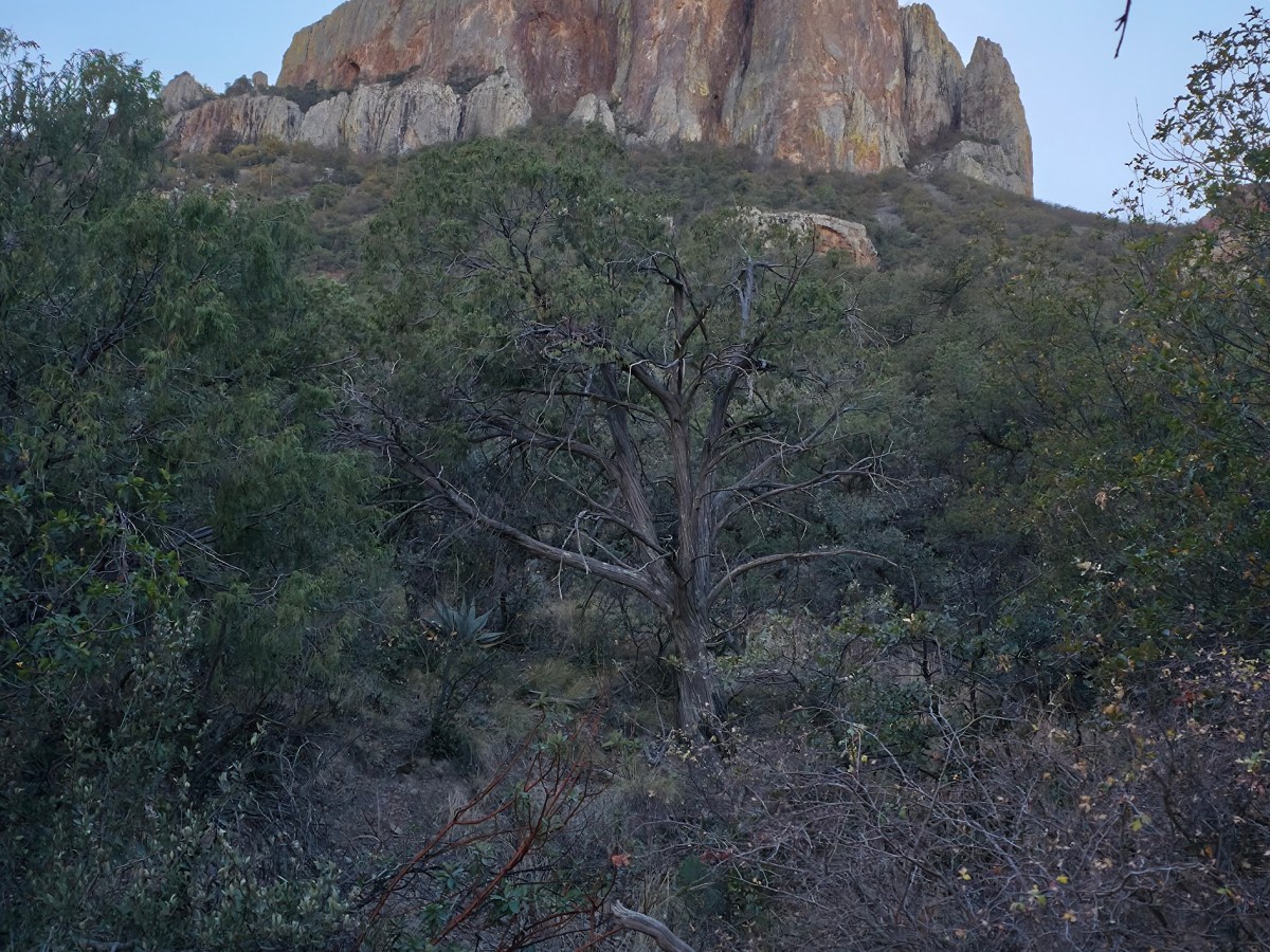 Van Life Day&nbsp;53