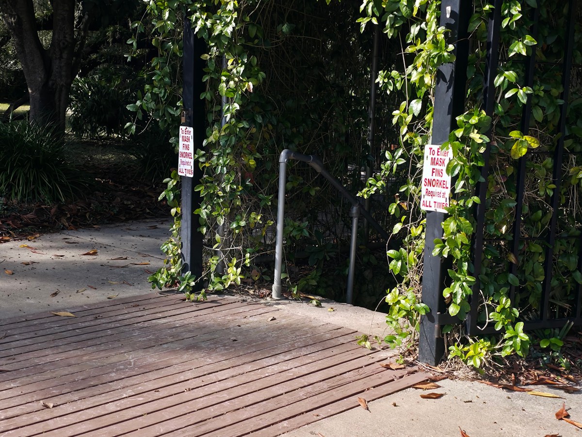 Van Life Day&nbsp;63