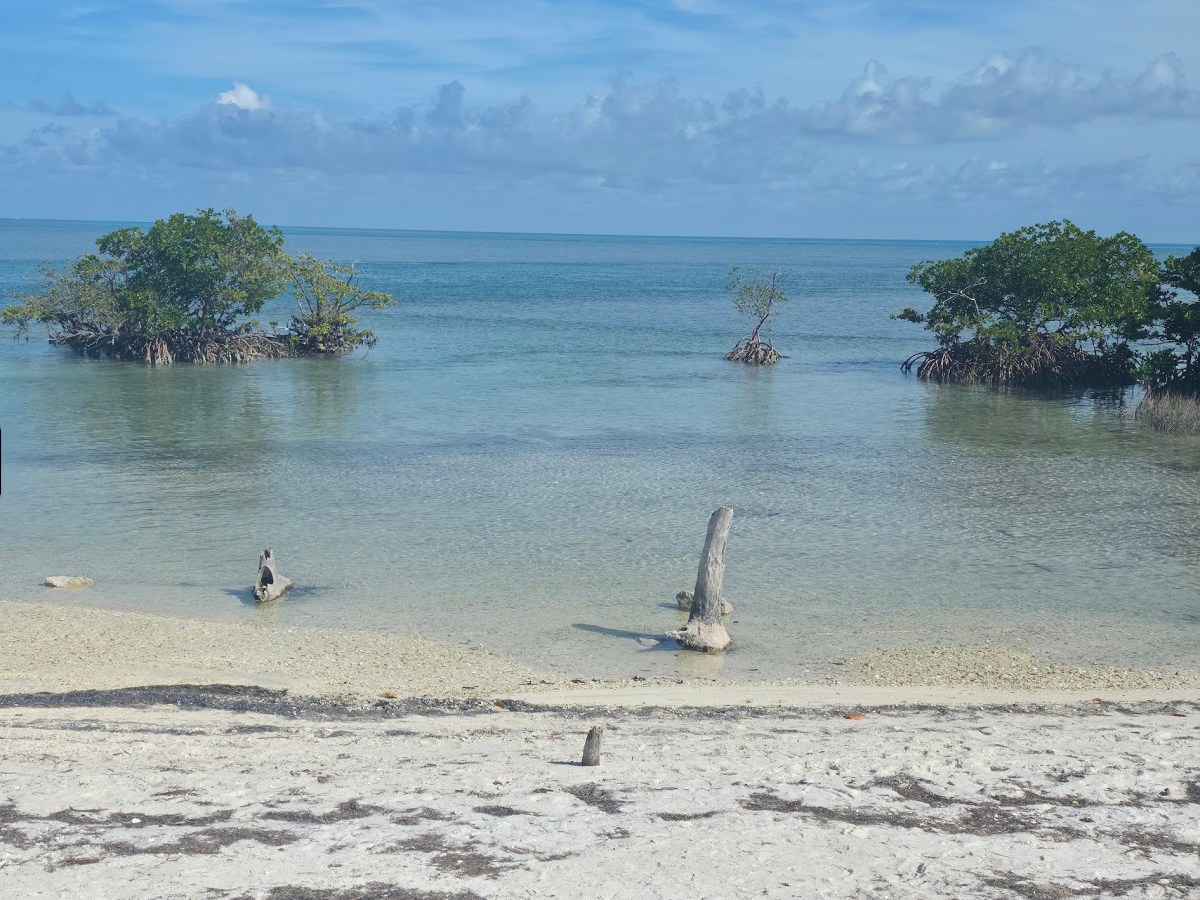 Van Life Day&nbsp;66